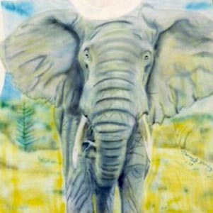 African Elephant